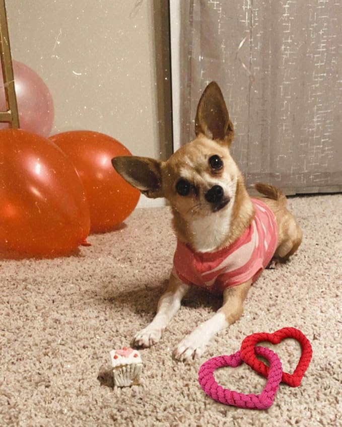 BoomBone Interlocking Heart Dog Rope Toy, Valentines Day Pet Toys for Small Medium Dogs