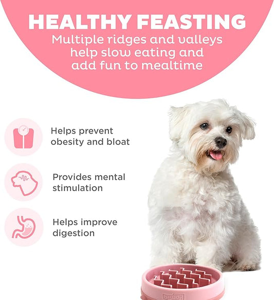 Outward Hound Fun Feeder Slo Bowl – Small 3/4-Cup Capacity, Slow Feeding, Small Dogs, Puppies & Cats, Non-Slip, Pink, Wave Pattern