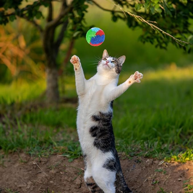 Nicunom 60 PCS Cat Pom Pom Balls, 1.7Inch Rainbow Cat Toy Balls, Soft Plush Cat Ball Fuzzy Kitty Balls Colorful Kitten Puff Ball for Pet Kitten Interactive Playing Exercising Chasing