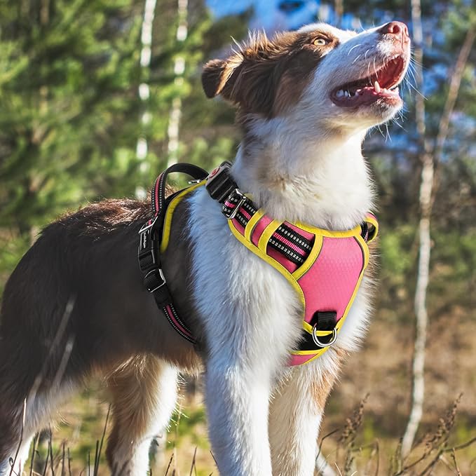 rabbitgoo Dog Harness Medium Sized, No Pull Dog Vest with 3 Buckles, Adjustable Soft Padded Pet Harness with Easy Control Handle and Reflective Strips, Pink & Yellow, M