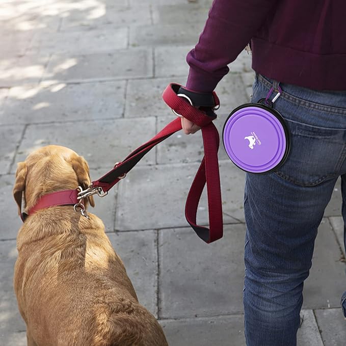 Collapsible Dog Bowls for Travel, 2-Pack Dog Portable Water Bowl for Dogs Cats Pet Foldable Feeding Watering Dish for Traveling Camping with Carabiners, BPA Free (Purple&Pink, Medium (Pack of 2))