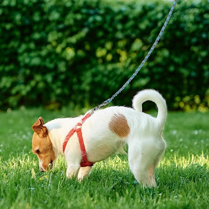 HOMIMP Chew Proof Dog Leash for Medium Large Dogs, Reflective 6 FT Heavy Duty Metal Chain Dog Leashes with Soft Padded Handle, Anti Bite Durable Rope Leashes for Pitbull, Non Chewable, Light Blue