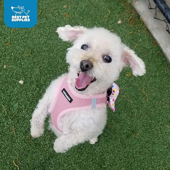Best Pet Supplies Voyager Step-in Air Harness - All Weather Mesh, Reflective, No Pull Harness for Dogs, Cats - Secure with Hook & Loop Fastener, Buckle, Double D-Rings - Pink, L