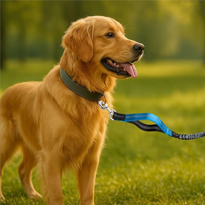 Hands-Free Dog Leash for Dogs up to 130 lbs – Heavy-Duty, Shock-Absorbing Bungee Leash with Zipper Pouch, Dual Padded Handles & Adjustable Waist Belt for Running & Walking – Sky Blue