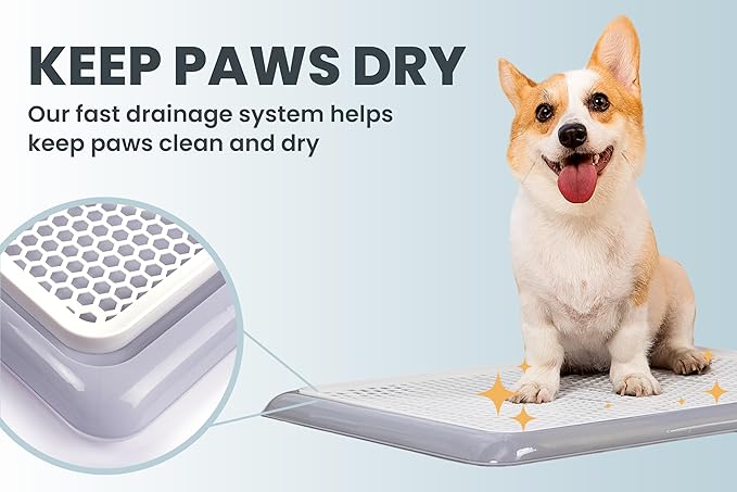 Pet Awesome Dog Potty Tray/Puppy Pee Pad Holder 25”x20” Indoor Wee Training for Small and Medium Dogs