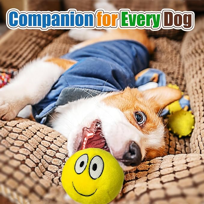 4 Pack 3 Inch Flat Squeaky Dog Balls - Plush Stuffed Built-in Squeaker, Expressions Interactive Soft Chew Toy for Small Medium Breed Dogs Puppies Indoor Outdoor