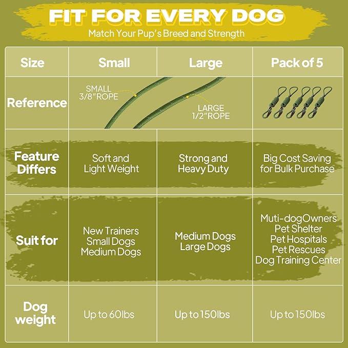 Fida Durable Slip Lead Dog Leash Bulk Pack of 5, Heavy Duty 1/2" x 6 FT Comfortable Strong Rope Slip Lead for Large, Medium & Small Dogs No Pulling Pet Training Leash with Highly Reflective (Green)