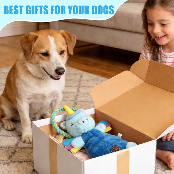Interactive Squeaky Dog Chew Toy, Tough Plush Dog Toys for Chewers, Small, Medium & Large Dogs, Plush with Double Rope Handles for Tug of War, Mess-Free, Light Blue