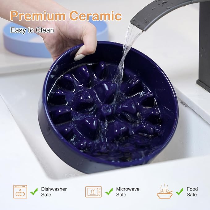 Sted Ceramic Slow Feeder Dog Bowls with Silicone Base, Slow Feeding Dog Bowl Small Medium Breed, Dogs Food Bowls for Fast Eaters, Puzzle Dogs Food Bowl, Maze Blue