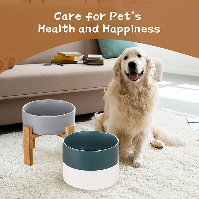 Raised Ceramic Large Dog Bowl - Heavy Weighted Dog Dish with Bamboo Stand - Elevated for Comfortable Feeding - 8.3" W x 8" H - 4.5 Cups (68 fl oz) - Green