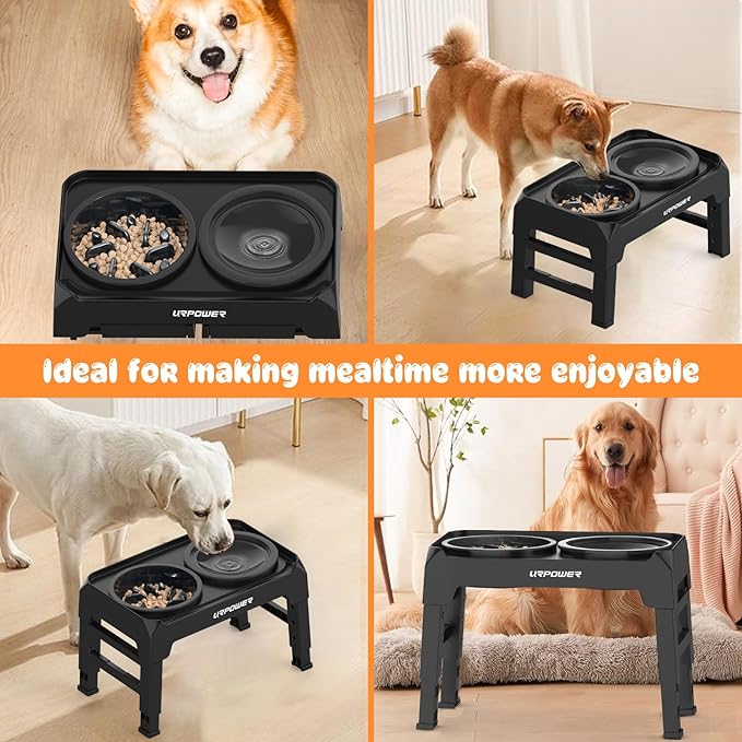 URPOWER Raised Dog Bowls 4 Height Adjustable Elevated Bowl Stand with Stainless Steel Water Bowl Non-Slip Dog Food Bowls Stand for Small Medium Large Dogs and Pets