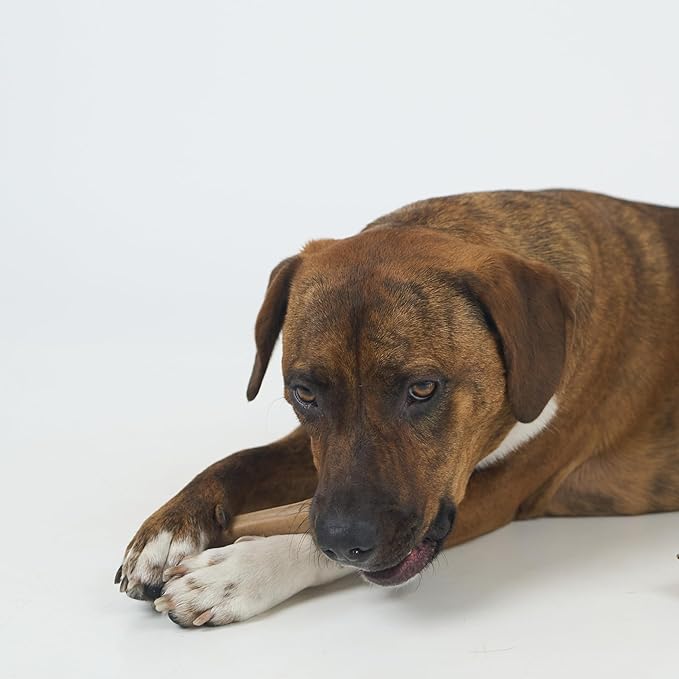 SPOT Bam-Bones Bone - Made with Strong Bamboo Fiber, Durable Long Lasting Dog Chew for Light to Moderate Chewers, Great Toy for Adult Dogs & Teething Puppies under 40lbs, 7.25in, Chicken Flavor