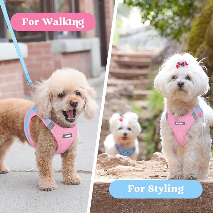 rabbitgoo Small Dog Harness, Step-in Soft Mesh Puppy Vest with Safety Buckle, Breathable Reflective Pet Harness for Small Sized Dogs, Blue & Light Pink M