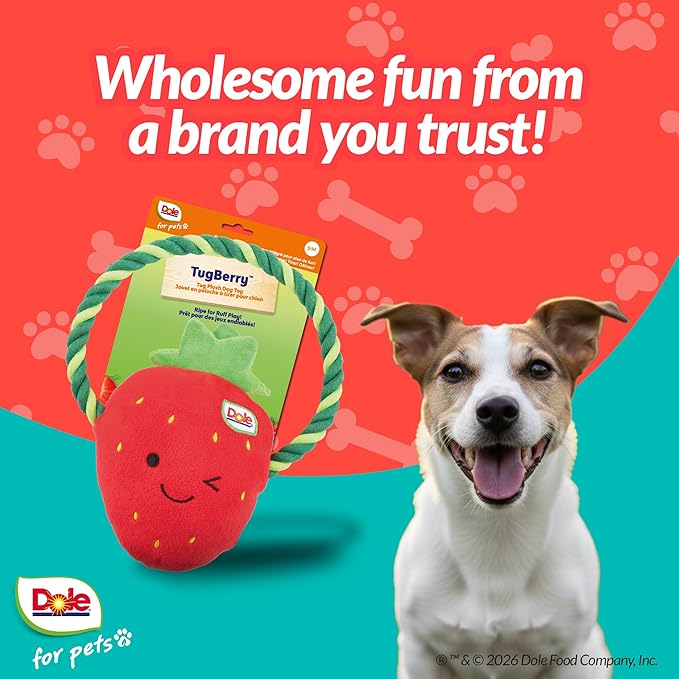 Dole for Pets® Dog Rope Toy with Squeakers, Strawberry Tug of War Dog Toy, Tough Cotton Rope Toys for Dogs, Aggressive Chew Toys for Medium Dogs