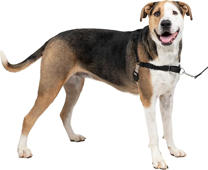 PetSafe Easy Walk No-Pull Dog Harness - The Ultimate Harness to Help Stop Pulling - Take Control & Teach Better Leash Manners - Helps Prevent Pets Pulling on Walks, X-Large, Black/Silver