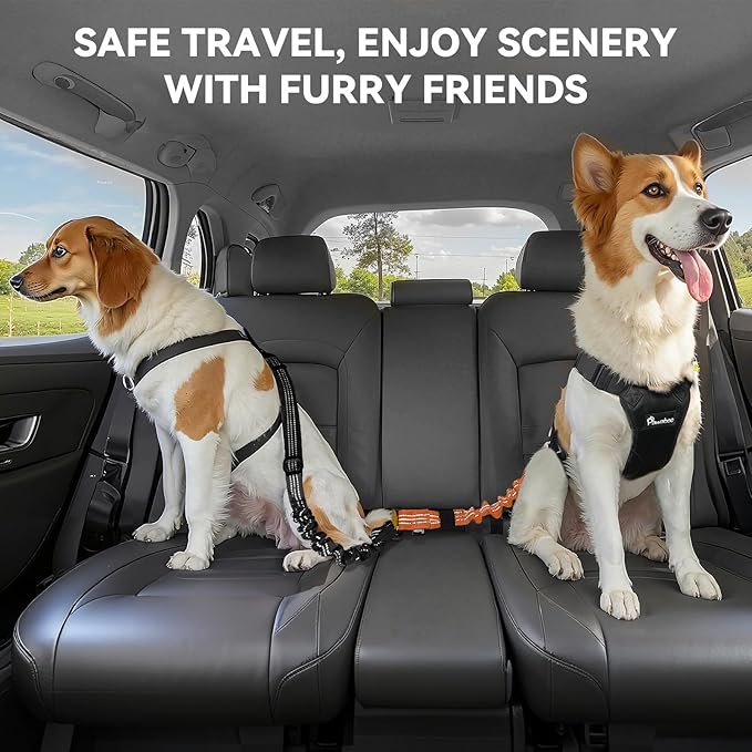 Pawaboo 2Pack Dog Seatbelt for Car, 3-in-1 Dog Car Seat Belt, Shockproof Dogs Tether with Buckle & Hook Latch, Adjustable Reflective Dogs Cars Harness Leash with 360° Lockable Buckle, Orange/Black