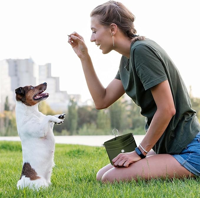 Dog Treat Pouch – Dog Training Pouch with Waterproof Oxford Fabric, Hands-Free Design, Carabiner Clip, Front Pocket, Self-Closing for Outdoor Walks & Puppy Training (Green)