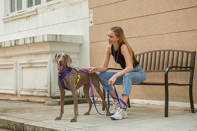 Hands Free Dog Leash Versatile Adjustable Shock Absorbing Personalized Dog Leash for Dog Walking Running (Starry Night)