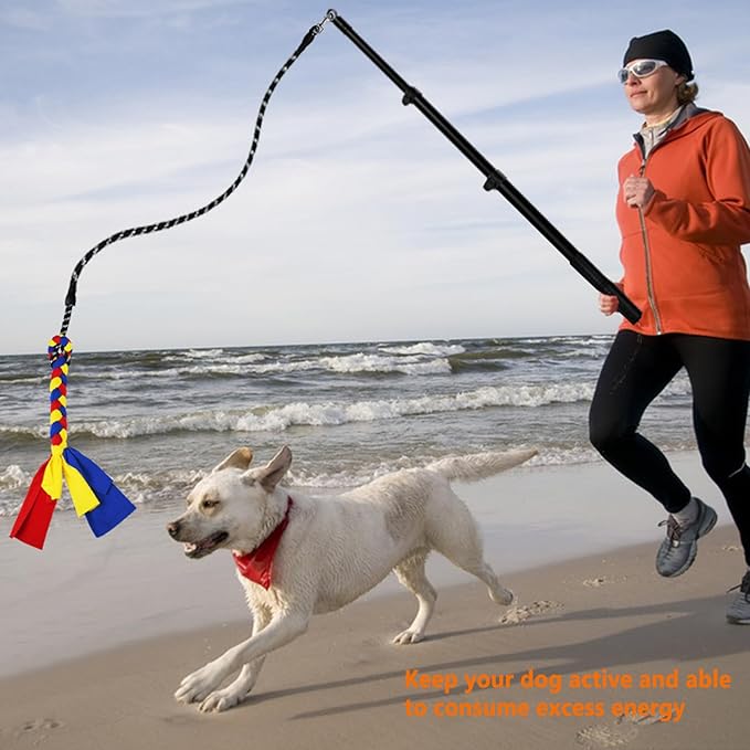 Flirt Pole for Dogs Heavy Duty,Dog Teaser Pole for Small Medium & Large Dogs,Interactive Outdoor Dog Toy with Replaceable Nylon Rope,Perfect for Jumping, Chasing,Tugging, Training & Play