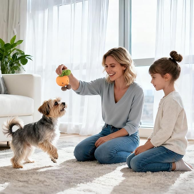 Pet Dog Cat Chew Toy: Fun, Playful, Cute, and Durable (Citrus)