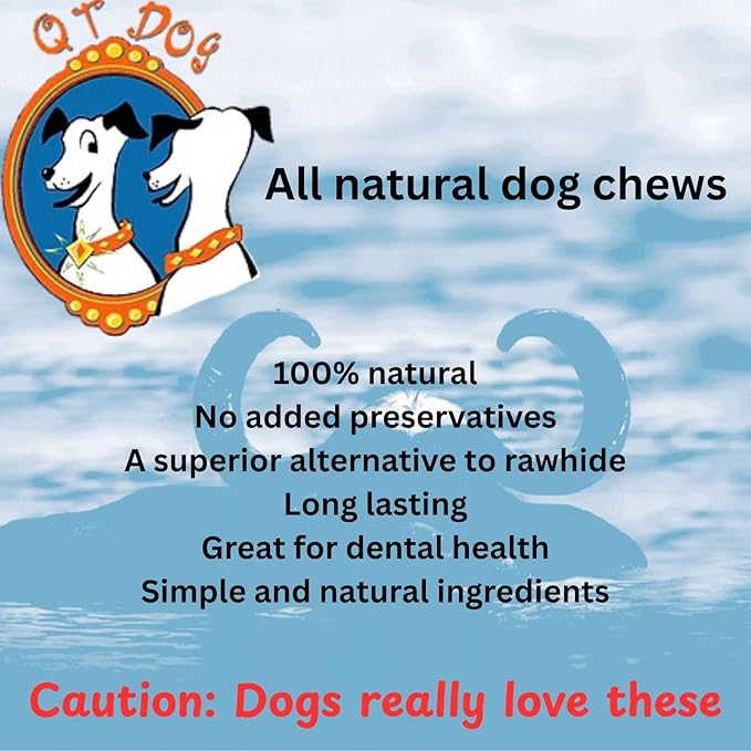 QT Dog Small Gobi Goat Horn (Pack of 4) - Long-Lasting 100% All-Natural Dog Chew, Ethically Sources Protein-Packed & Low Fat Dental Chews, Ideal for All Breeds & Aggressive Chewers