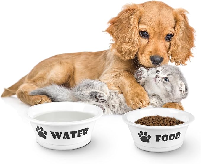 FOREYY Set of 2 Ceramic Dog Cat Bowl Set, Pet Porcelain Food and Water Feeder Dish Bowls with Anti Slip Band, Dishwasher and Microwave Safe (Small)