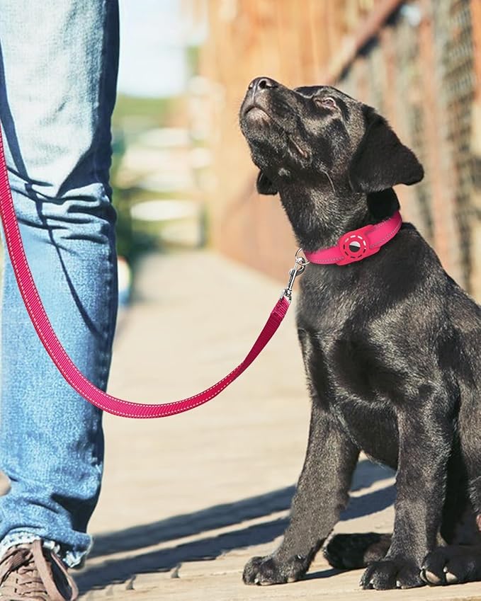 Reflective Dog Leash 6ft Soft Padded Handle Nylon Lead for Medium & Large Dogs, Durable Walking Training Leash for Night Safety (Hotpink,1Inch Wide)