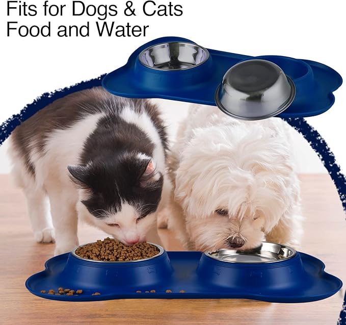 Dog Bowls 2 Stainless Steel Bowl for Pet Water and Food Feeder with Non Spill Skid Resistant Silicone Mat for Pets Puppy Small Medium Cats Dogs