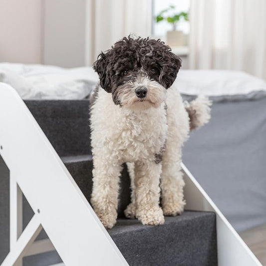 Trixie Dog Stairs with Nonslip Carpet - 4 Step Pet Stairs for Beds and Couches - Easily Adjustable - in White