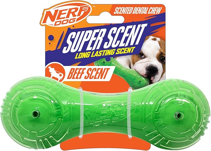 Nerf Dog 7in TPR/PP Scented Beef Super Scent Barbell Solid Core Dog Toy -Green/Clear