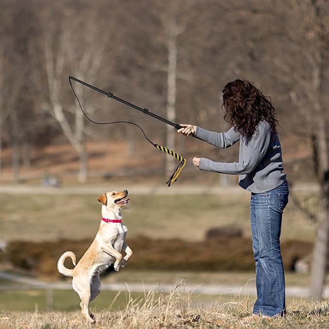 Flirt Pole for Dogs, Extendable Dog Flirt Pole with Detachable Interactive Toys Dog Teaser Wand with Lure Rope Toy for Outdoor Exercise & Training Interactive Toys for Large Medium Small Dogs