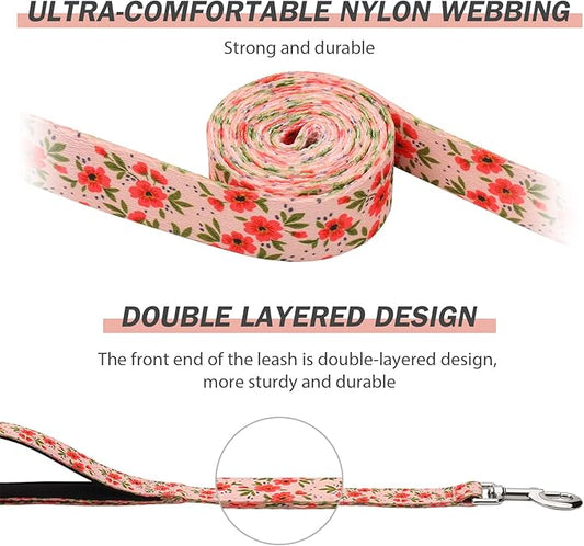 Hikiko 5 Foot Double Handle Dog Leash Cute Girl Padded Traffic Handles for Walking Training (Cream Natural Floral, 5ft)
