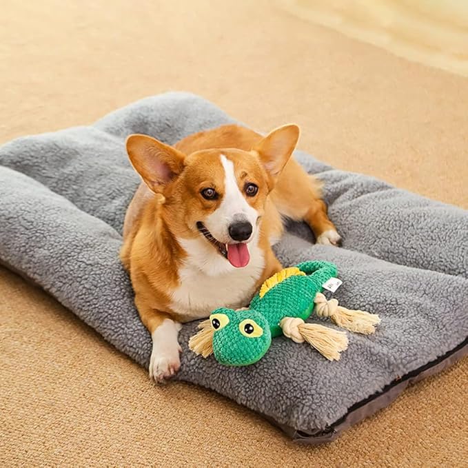 Squeaky Dog Toy,Stuffed Pet Toys,Plush Lizard Dogs Toys with Durable Rope Legs Interactive Dog Toy,Tear Resistant Durable Chewing Pets Toys for Puppy Middle Large Dogs
