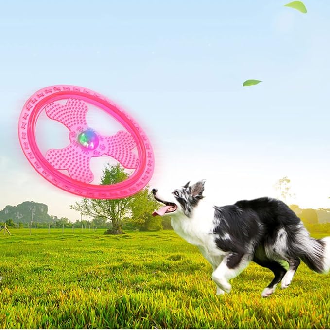 Flying Disc Dog Sport Toy with Flashing LED Lights, Light Up Pet Disk for Ultimate Night Time Play, Pink