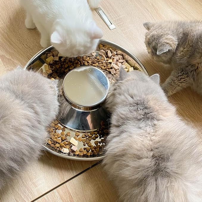 Stainless Steel Puppy Bowls 2 Pack, Pet Slow Feeder Bowls, Water Bowl, Feeding Weaning for Small Medium Large Dogs, Cat, Pets (2 Pack, Large:1.3” x 13.6”)