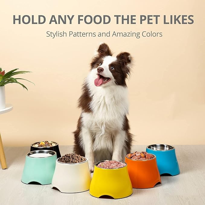 Fluffydream Elevated Dog Bowls, Prevention of Vertebrae Disease, Non-Slip With Stainless Steel Bowl, High Capacity Food Bowls (MintGreen 2 Packs, L 860ML / 3 Cups)