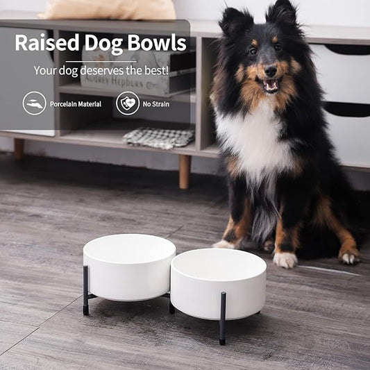 OMAYKEY 32 oz Ceramic Dog Cat Bowl Set of 2 with Elevated Metal Stand - 6 Inch Ceramic Round Pet Food and Water Feeder Bowl Dish for Cats & Dogs - White