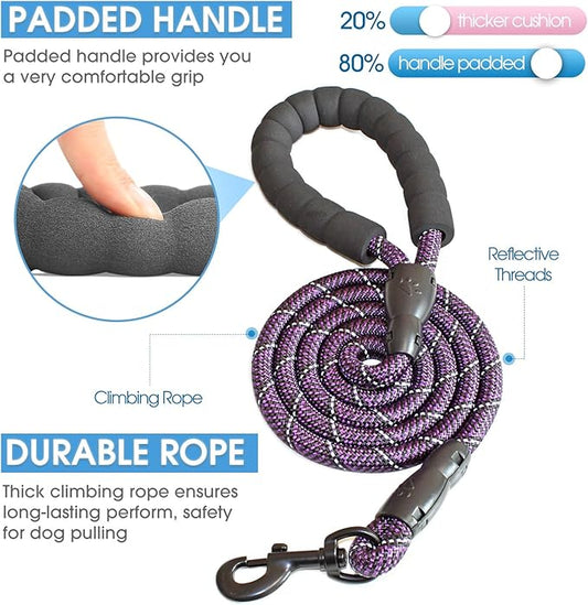BAAPET 2/4/5/6 FT Dog Leash with Comfortable Padded Handle and Highly Reflective Threads for Small Medium and Large Dogs (5FT-1/2'', Black Purple)