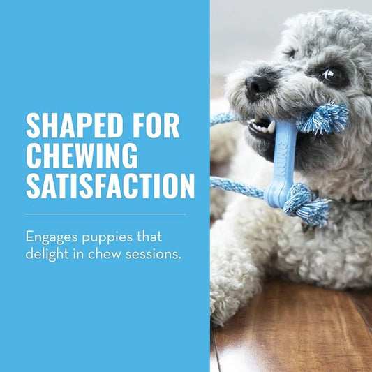 KONG Puppy Goodie Bone with Rope - Natural Rubber Bone with Cotton Rope - Teeth Cleaning Chew Toy for Growing Puppies - for XS Puppies - Blue