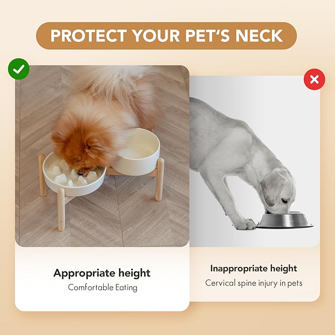 Ceramic 1.2 Cup Raised Slow Feeder Dog Bowl Set, Elevated 6.1inch Bowl and 7.3inch Slow Pet Food Dish with Wooden Stand for Small and Medium Dog (2 xLight Yellow+ Stand)