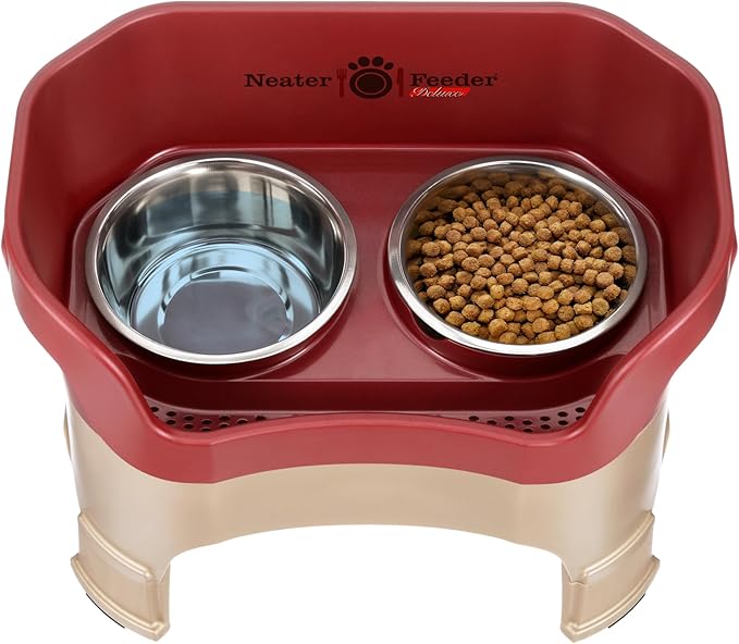 Neater Feeder Deluxe Mess-Proof Elevated Dog Bowls for Medium Dogs (19–40 lbs), 2 Height Adjustable (10” & 12.5”) No-Spill Raised Dog Bowl Stand, Stainless Steel Food Bowl Set, Made in USA, Cranberry