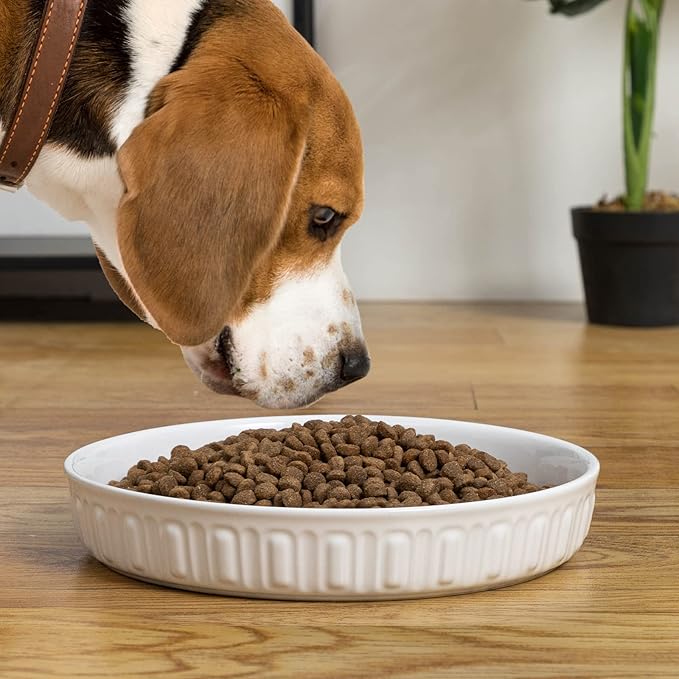 Fun Elements Shallow Dog Bowls, 8" Ceramic Dog Food Plate for Small and Medium Breeds, Non-Slip, Flat and Wide, Dishwasher Safe, Suitable for Puppies and Kittens (White)