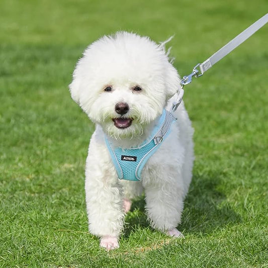 AIITLE Easy Walk Dog Harness and Leash Set - Pet Supply No Pull, Step in Adjustable Dog Harness with Padded Vest, Dog Harness No Choke Over, Easy to Put on Medium Dogs Blue L