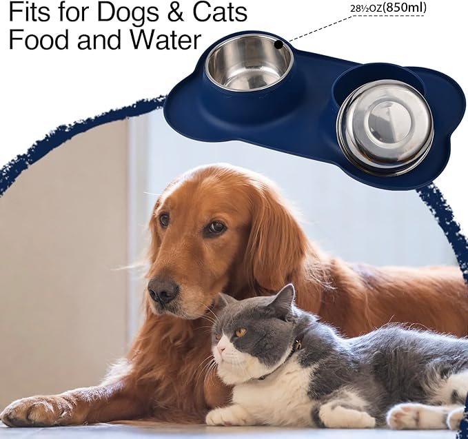 Dog Bowls 2 Stainless Steel Bowl for Pet Water and Food Feeder with Non Spill Skid Resistant Silicone Mat for Pets Puppy Small Medium Cats Dogs
