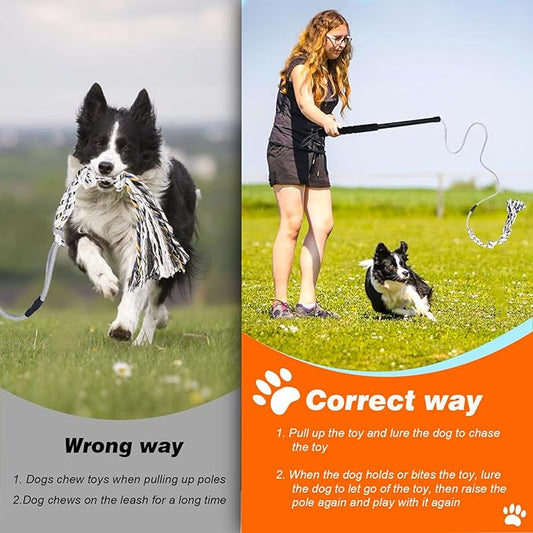 Flirt Pole for Dogs Outdoor Chase Toy Interactive Flirt Pole for Outdoor Exercise & Training Heavy Duty Dog Teaser Wand with Rope Durable Dog Fishing Pole Toy Flirt Stick for Small & Medium Dogs