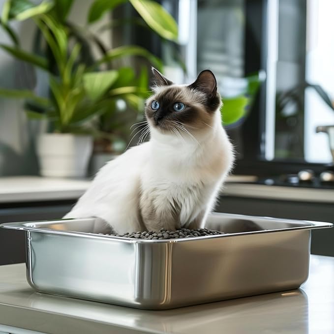 Stainless Steel Cat Litter Box for Big Cats,Small Stainless Steel,Large Metal Cat Litter Box-Easy to Clean.(17.5" L x 13.6" W x 4.1" H).