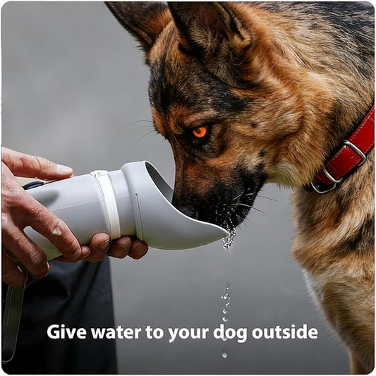 Jalopink Portable Dog Water Bottle, 2-in-1 Leak Proof & Collapsible Silicone Pet Dispenser with Built-in Bowl, Food Grade Travel Cup for Walking, Hiking (19oz/550ml, Gray)