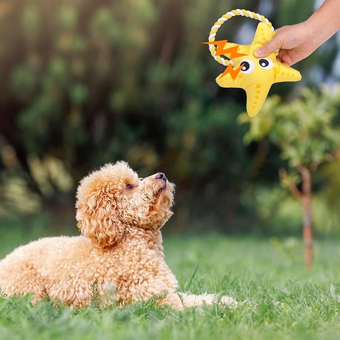 SCENEREAL Dog Toy for Small Medium Dogs- Floating Dog Toys Squeaky Toys for Water Pool Fetch, Halloween Starfish Shape Interactive Pet Chew Toy Outdoor Interactive Play