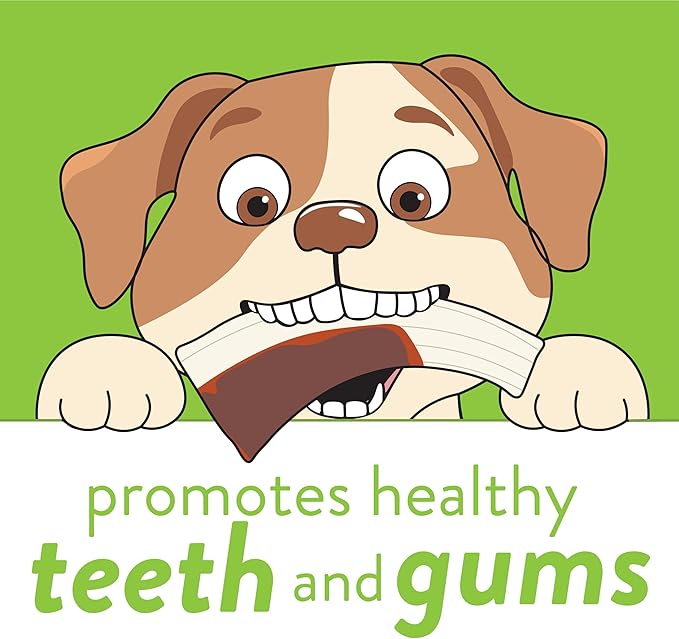 Spunky Pup Snack & Chew Antler Toy | Promotes Healthy Teeth & Gums | Puppy