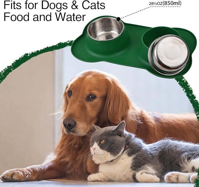 Dog Bowls 2 Stainless Steel Bowl for Pet Water and Food Feeder with Non Spill Skid Resistant Silicone Mat for Pets Puppy Small Medium Cats Dogs
